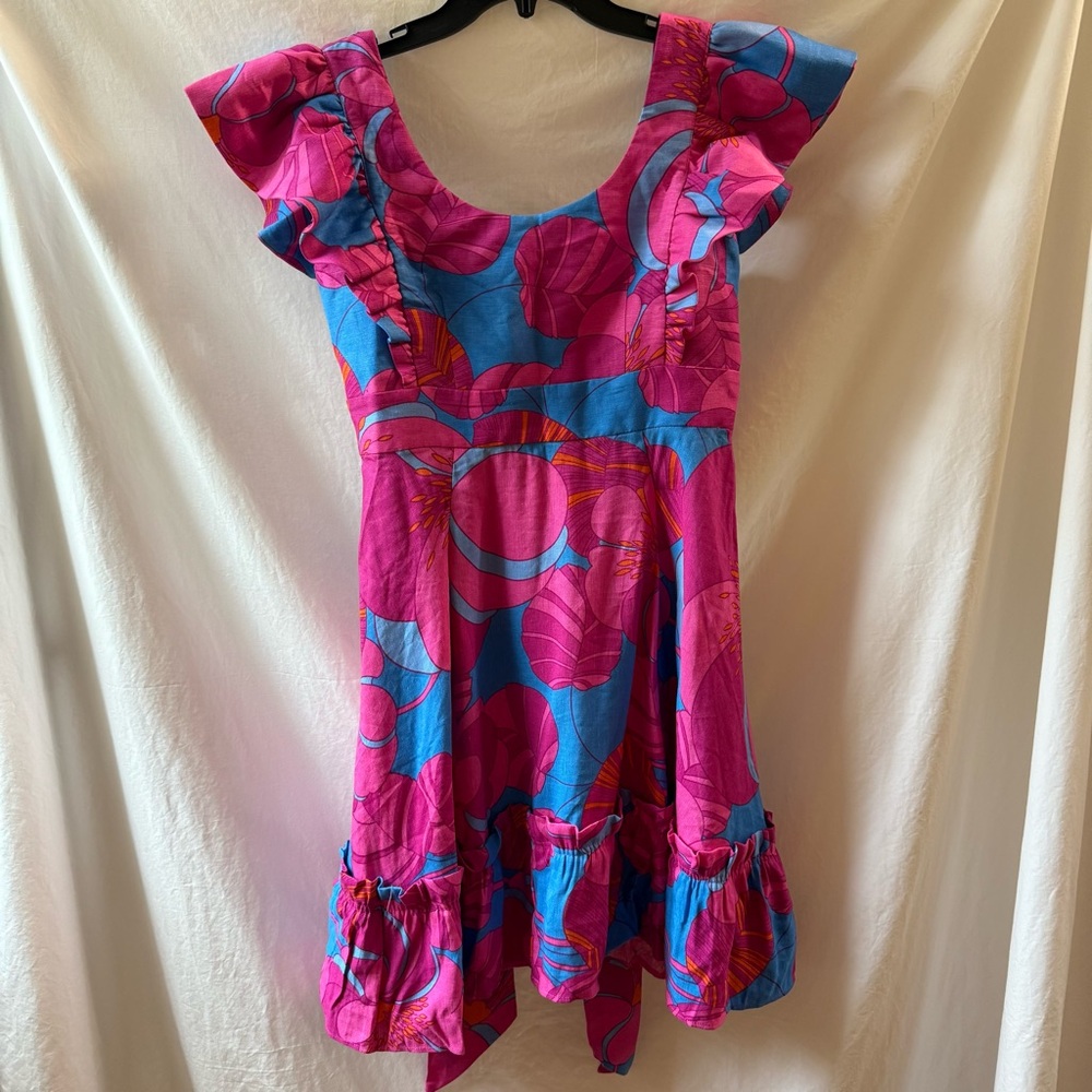Tuckernuck Vibrant Pink and Blue Dress